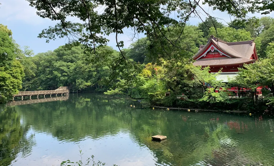 井の頭恩賜公園の池と弁財天